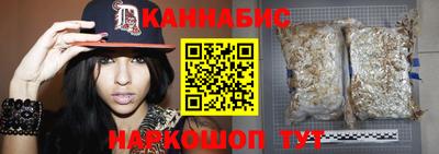 индика Будённовск