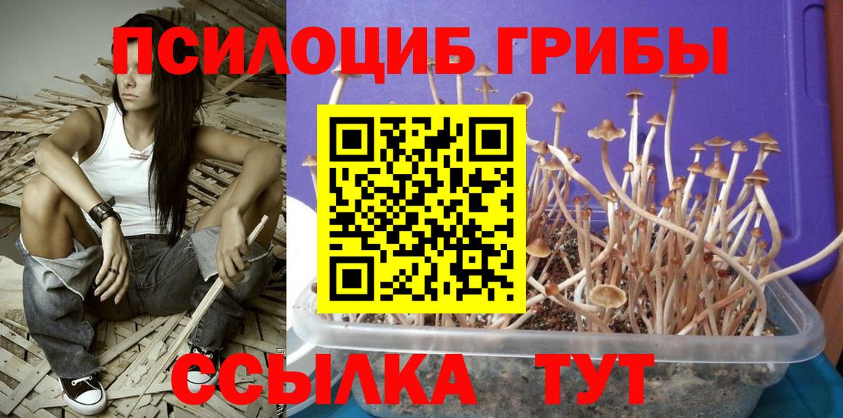 Галлюциногенные грибы прущие грибы Сарапул