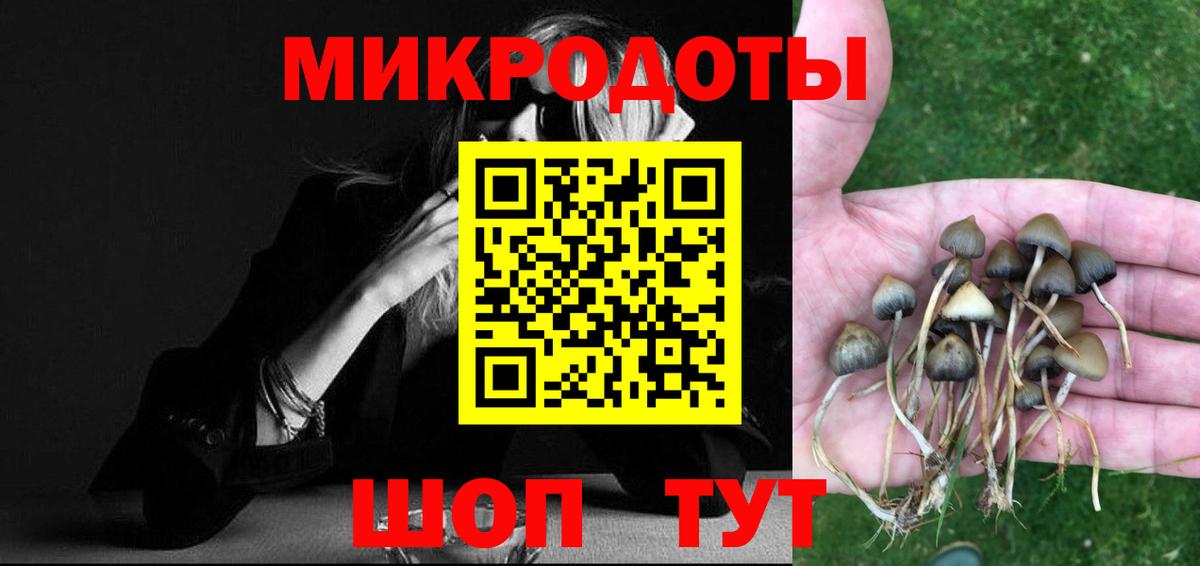Псилоцибиновые грибы GOLDEN TEACHER  Вход с VPN  Сарапул 